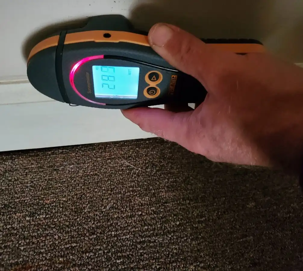 Moisture detection at baseboard during Sewage Cleanup & Sanitation in Hot Springs Village